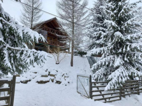 Cabana Aura Campulung Moldovenesc